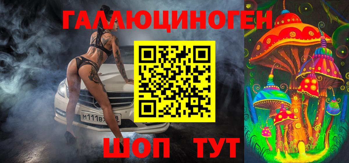 Кинель  Галлюциногенные грибы Psilocybine cubensis  Вход с VPN 